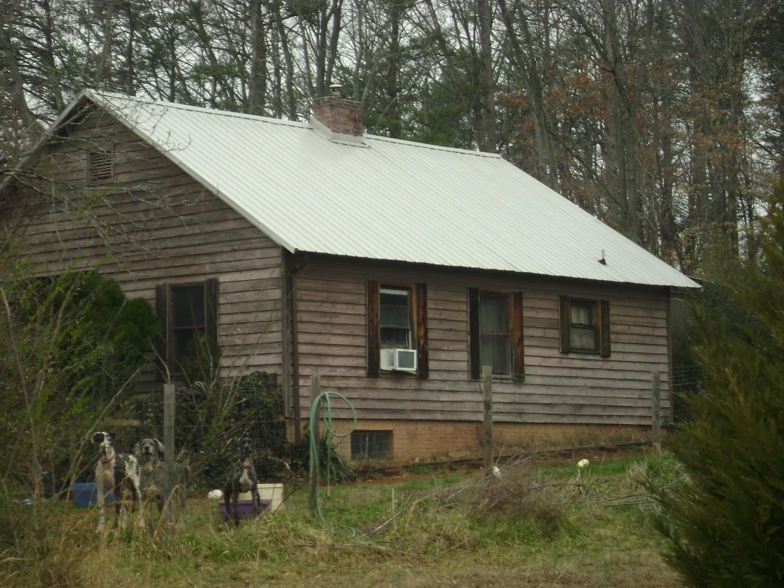 White metal roof on an old wood sided farmhouse, from a Asphalt Shingle Roof Repair job in Lloyd